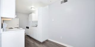 The Canopy Gallery 10