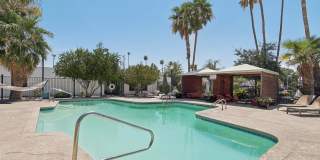 Palm Villas Gallery 43