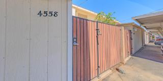 4558 N 15TH Avenue Gallery 47