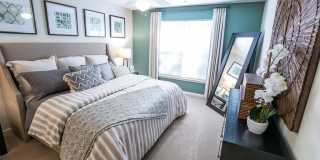 Salisbury Village at Castlewood Gallery 17