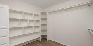 3503 San Esteban Street Gallery 5