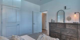 Red Hawk and Laurel Grey Gallery 24