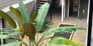 502 W Alabama Gallery 2