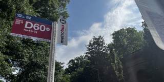 Diplomat Gallery 18