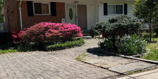 9807 ARBOR HILL Drive Gallery 1
