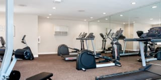 Central Park Gallery 17