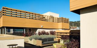 Modera Berkeley Gallery 33