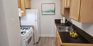 Kensington Court Gallery 26