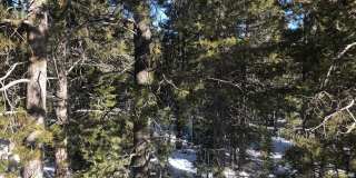 Long term Lease in Tahoe Donner- $2168 per month Furnished Gallery 18