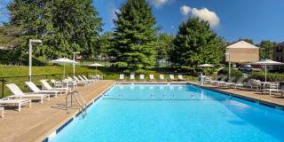 Stonecliffe Gallery 14