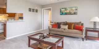 Timbers at Mill Creek Gallery 33