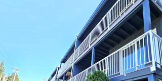 Olympic View Gallery 1