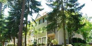 Edmonds Highlands Gallery 11