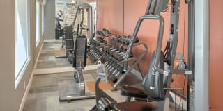 Irwin Park Gallery 11