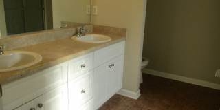 Beautifully 3-Bedroom 2-Bath Home Rental Gallery 14