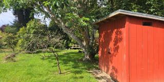 3BD/2BA Eureka home is close to Sequoia Park, boasts infrared sauna! Gallery 27