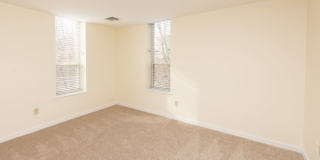 Chestnut Hill East Gallery 13