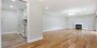 247 Hamilton Avenue Gallery 3