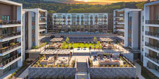 Ellison at the Preserve Gallery 44