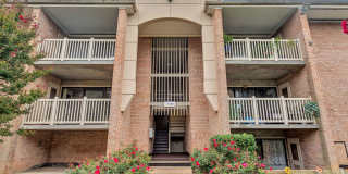 Aspen Hill Gallery 8