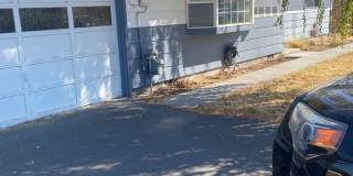 Large 3 bedroom 3 bath home Gallery 1