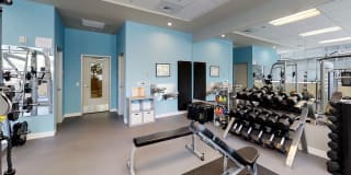 The Matisse Gallery 16