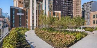 1003 S State St Gallery 3