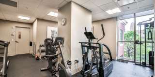 Pasquale at Waterfront Place Gallery 11