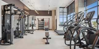 The Deveraux Gallery 17