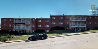 Mallow at The Hills Gallery 8