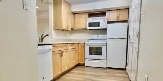Columbia Heights| 900 sqft 2bd, 1bth|Townhouse English Bsmt Apt| Shared Back Patio Gallery 6