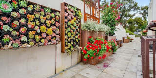 75 Marbella Gallery 30