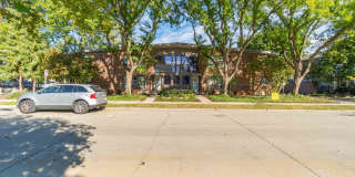 ONE11 COLLECTION - ROYAL OAK Gallery 96