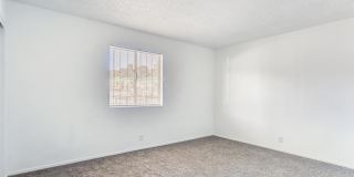 24 Rose Circle Gallery 20
