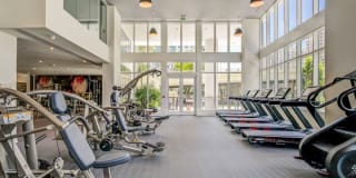 Alluvion Las Olas Alluvion Las Olas Gallery 31