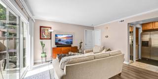 4020 Porte La Paz - 1Unit 110 Gallery 7