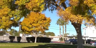 Coral Palms Condominiums Gallery 18