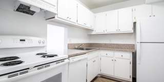 Legacy at Pinecrest Gallery 26