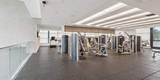 Legacy Lake Vista Gallery 14