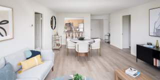 The Magnolia Gallery 22