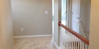3305 Sweet Clover Lane Gallery 46
