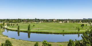 Alas Over Lowry Gallery 36