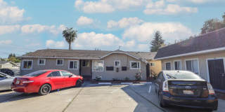 Solano Gallery 1
