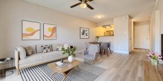 Rise Lakeside Gallery 29