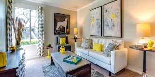 Sofi Laguna Hills Gallery 11
