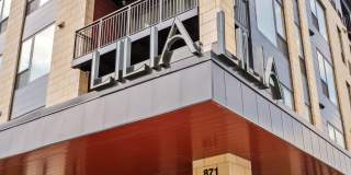 Lilia Lilia Gallery 84