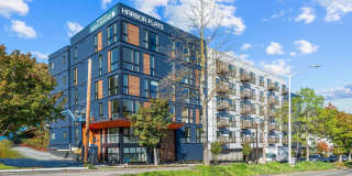 Harbor Flats Gallery 20
