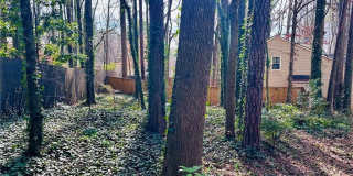 1140 Taylor Oaks Drive Gallery 29