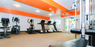 Palms Court Gallery 20