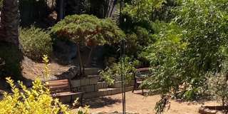 1.5 Bedrooms - 1.5 Bathrooms Split Level House -  Mt. Helix Artist’s Colony Executive Rental Gallery 32